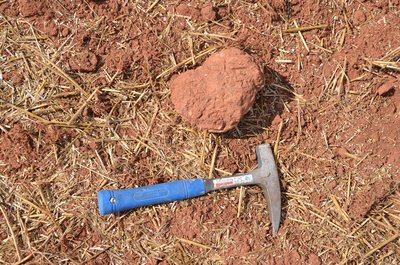 Karneol z ornice u Božanovského vrchu.