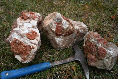 Hlízy karneolu v konkrecích rekrystalizovaného vápence z vrstev červených permských pískovců na Božanovském vrchu.