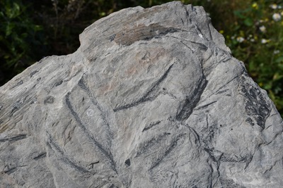 Hornický skanzen Žacléř 