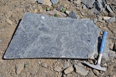 Hornický skanzen Žacléř 