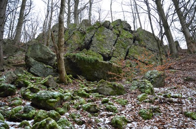 Hrubá kamenná suť pod skalními výchozy vyvřelých hornin ve východní části lokality Kamenec.