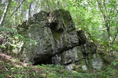 Výchoz vrstev vyvřelých vulkanických hornin s výraznými vrstevními spárami v západní části lokality Kamenec.