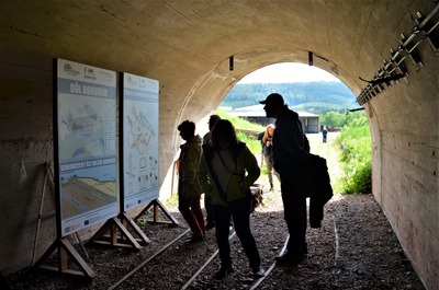 Měděný důl Bohumír 5