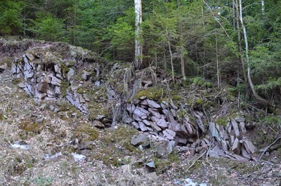 Ignimbrity v Uhlířském údolí 6