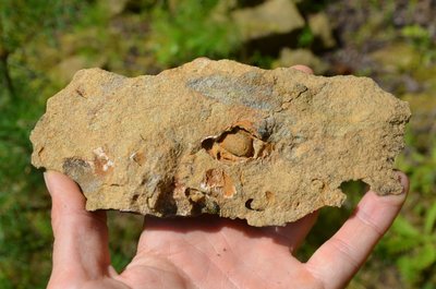 Libnavský pískovec