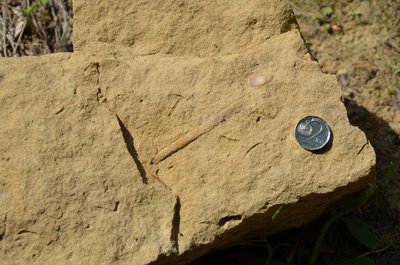 Libnavský pískovec