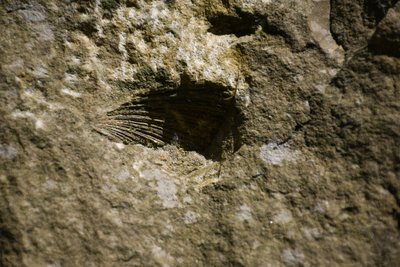 Libnavský pískovec