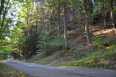 Slepence pod Prkenným Dolem 5