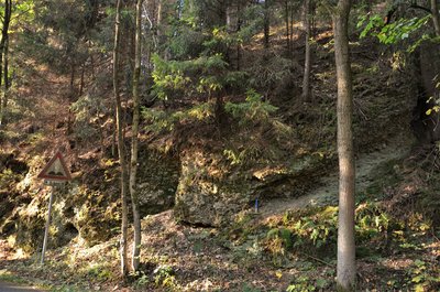 Slepence pod Prkenným Dolem 4