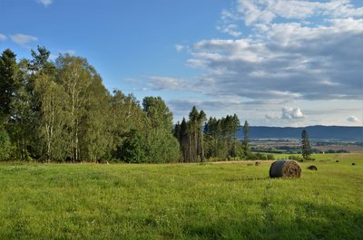 Velký lom na Mlýnském vrchu