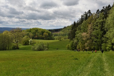 Nad Rožmitálem