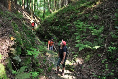 Erozní rýha pod Radešovem