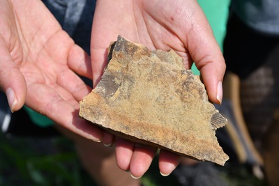 Otisky lastur druhohorních mořských mlžů