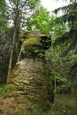 Kamenný hřib nad Hájkovou roklí