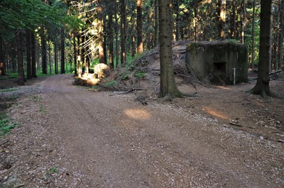 Řopík na Žaltmanu