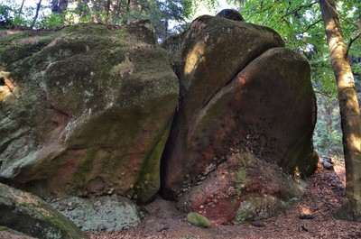 Žaltmanské arkózy