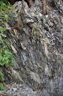 Tektonická zóna na Kozínku