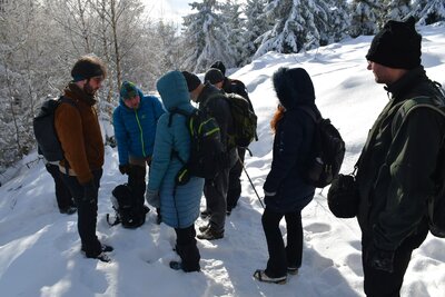 Pod vrcholem Lesista Wielka