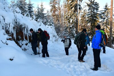 Ventarola u rozcestí Szlak Dzika