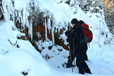 Ventarola u rozcestí Szlak Dzika