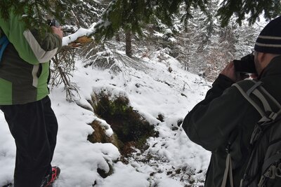 Ventarola na hoře Lesista Mala