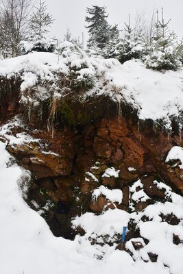 Ventarola u rozcestí Szlak Dzika