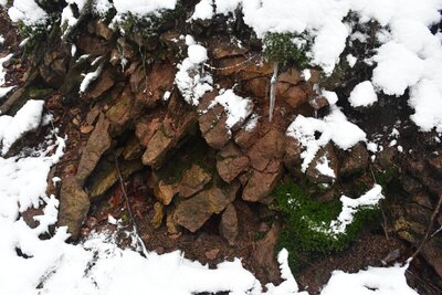 Jeden z mnoha drobných průduchů u cesty pod vrchem Stachoń