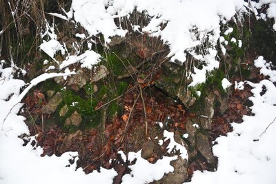 Jeden z mnoha drobných průduchů u cesty pod vrchem Stachoń