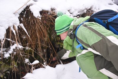 Jeden z mnoha drobných průduchů u cesty pod vrchem Stachoń