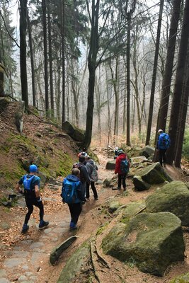 Nad Dobytčí stezkou
