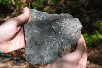 Geovýlet S geologem za uhlím Hronovska