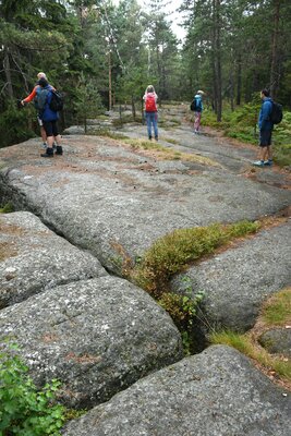 Kvádrové pískovce na hraně Hraničního hřbetu