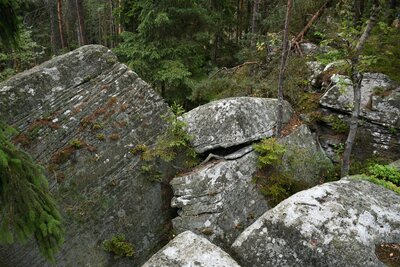 Odsedající skalní bloky na pískovcové hraně vnější kuesty Polické pánve