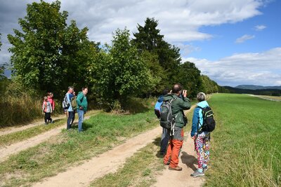 Nad Horním Adršpachem