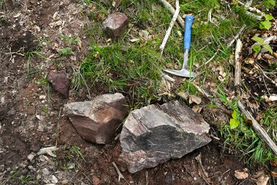 Našli jsme i kousky araukaritů