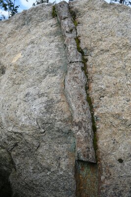 Neobvyklá ichnofosílie - stopa po lezení vodního živočicha v křemenném pískovci