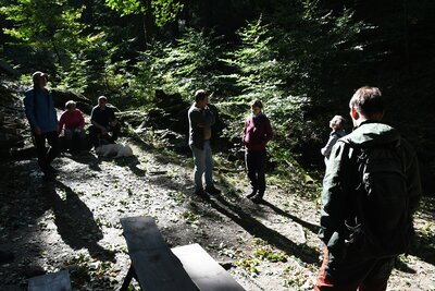 U Studánky Pod Borem