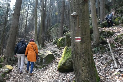 Výstup Svatojakubskou cestou na Broumovské stěny