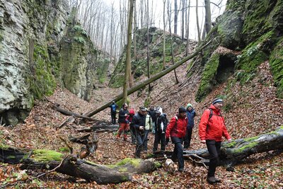 Trpasličí rokle nad Stárkovem