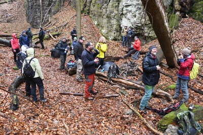 Trpasličí rokle nad Stárkovem