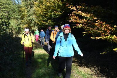 Cesta z Radvanic ke Kuprovce