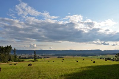 Pohled z Mlýnského vrchu na Broumovskou kotlinu