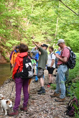 Geovycházka k Mořské transgresi