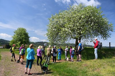 Geovycházka k Mořské transgresi