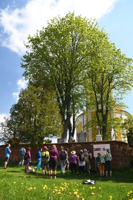 Geovycházka k Mořské transgresi