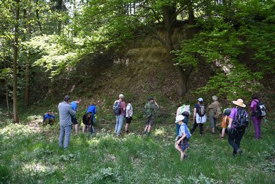 Geovycházka k Mořské transgresi