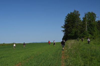 Geovýlet za božanovským pískovcem