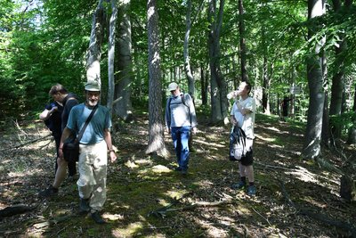 Geovýlet za božanovským pískovcem