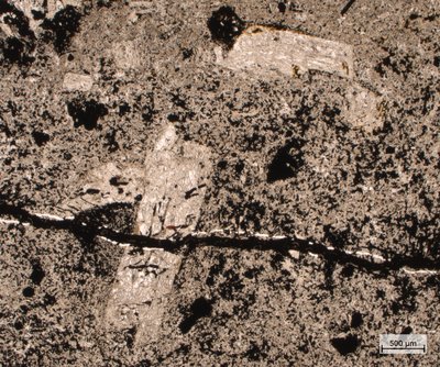 Silně alterovaný andezit