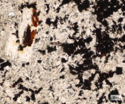 Silně alterovaný andezit